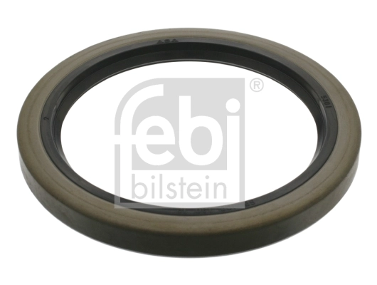 Shaft Seal, wheel hub